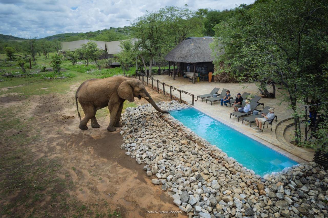 Ongava Tented Camp Окауквейо Екстер'єр фото