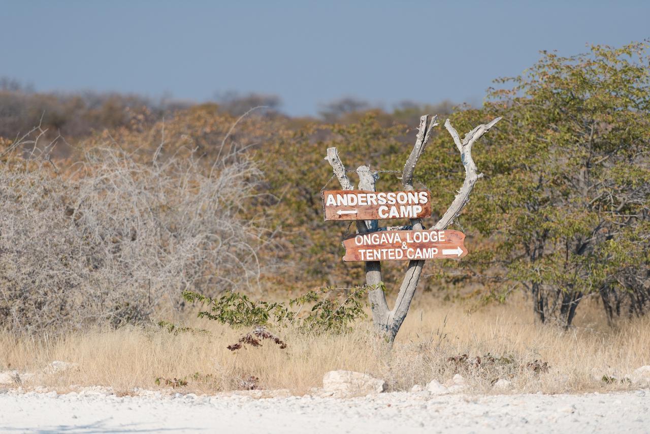 Ongava Tented Camp Окауквейо Екстер'єр фото